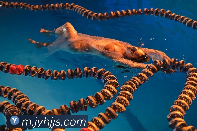 九游会j9发展历程